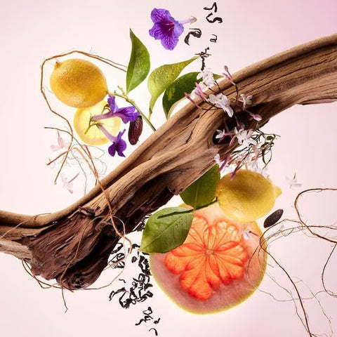 Kit Perfume Rare Beauty Find Confort - Hidratante 95ml Perfume 10ml